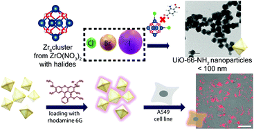 Graphical abstract: High-yield halide-assisted synthesis of metal–organic framework UiO-based nanocarriers