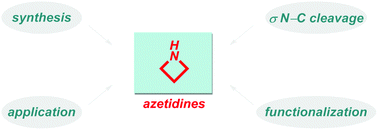 Graphical abstract: Recent advances in the synthesis and reactivity of azetidines: strain-driven character of the four-membered heterocycle