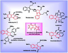 Graphical abstract: Recent advances in the synthesis of pyrrolo[1,2-a]indoles and their derivatives