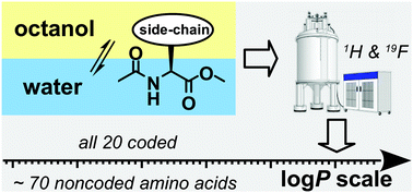 Graphical abstract: Experimental lipophilicity scale for coded and noncoded amino acid residues