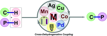 Graphical abstract: Phosphorylation of arenes, heteroarenes, alkenes, carbonyls and imines by dehydrogenative cross-coupling of P(O)–H and P(R)–H