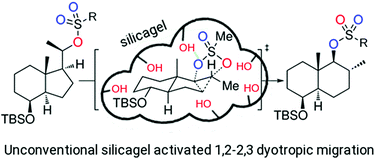 Graphical abstract: On the mechanism of the dyotropic expansion of hydrindanes into decalins