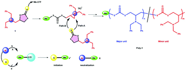 Graphical abstract: Cationic ring-opening polymerization of a five membered cyclic dithiocarbonate having a tertiary amine moiety