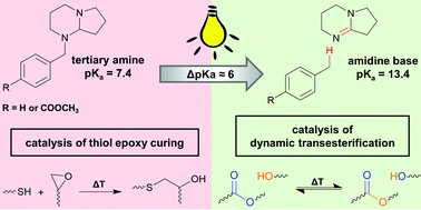 Graphical abstract: Streamlined concept towards spatially resolved photoactivation of dynamic transesterification in vitrimeric polymers by applying thermally stable photolatent bases