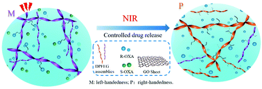 Graphical abstract: Chiral graphene-based supramolecular hydrogels toward tumor therapy