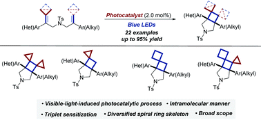 Graphical abstract: Construction of polysubstituted spiro[2.3] or [3.3] cyclic frameworks fused with a tosylated pyrrolidine promoted by visible-light-induced photosensitization