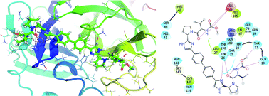 Graphical abstract: Computational estimation of potential inhibitors from known drugs against the main protease of SARS-CoV-2