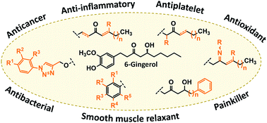 Graphical abstract: Medicinal chemistry inspired by ginger: exploring the chemical space around 6-gingerol