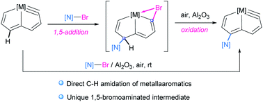 Graphical abstract: Direct amidation of metallaaromatics: access to N-functionalized osmapentalynes via a 1,5-bromoamidated intermediate