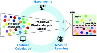 Graphical abstract: Combining machine learning and high-throughput experimentation to discover photocatalytically active organic molecules
