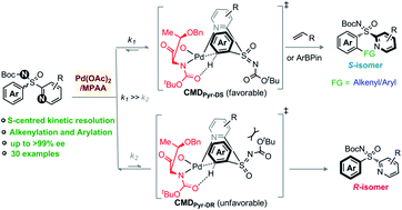 Graphical abstract: Kinetic resolution of sulfur-stereogenic sulfoximines by Pd(ii)–MPAA catalyzed C–H arylation and olefination