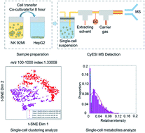 Graphical abstract: Dynamic metabolic change of cancer cells induced by natural killer cells at the single-cell level studied by label-free mass cytometry