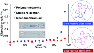 Graphical abstract: Mechanochromic elastomers with different thermo- and mechano-responsive radical-type mechanophores