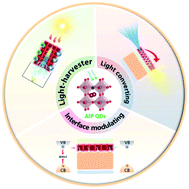 Graphical abstract: All-inorganic perovskite quantum dots as light-harvesting, interfacial, and light-converting layers toward solar cells