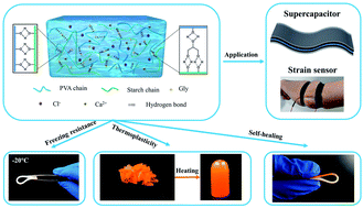 Graphical abstract: Highly tough, freezing-tolerant, healable and thermoplastic starch/poly(vinyl alcohol) organohydrogels for flexible electronic devices