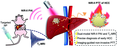 Graphical abstract: A multifunctional targeted nanoprobe with high NIR-II PAI/MRI performance for precise theranostics of orthotopic early-stage hepatocellular carcinoma