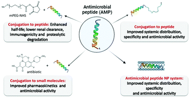 Graphical abstract: Recent advances in the design of antimicrobial peptide conjugates