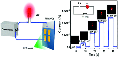 Graphical abstract: Highly sensitive all-polymer photodetectors with ultraviolet-visible to near-infrared photo-detection and their application as an optical switch