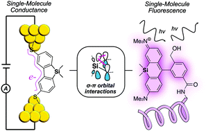 Graphical abstract: π-Conjugated organosilanes at the nexus of single-molecule electronics and imaging