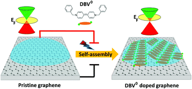 Graphical abstract: Doping of graphene via adlayer formation of electrochemically reduced dibenzyl viologen