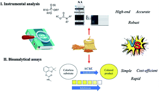 Graphical abstract: A critical comparison between an ultra-high-performance liquid chromatography triple quadrupole mass spectrometry (UHPLC-QqQ-MS) method and an enzyme assay for anti-cholinesterase pesticide residue detection in cereal matrices