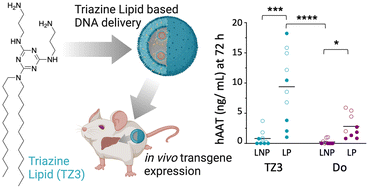 Graphical abstract: In vivo assessment of triazine lipid nanoparticles as transfection agents for plasmid DNA