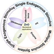 Graphical abstract: Research progress of stimuli-responsive ZnO-based nanomaterials in biomedical applications