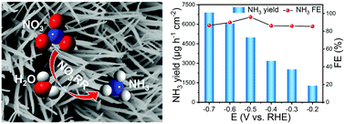 Graphical abstract: A FeCo2O4 nanowire array enabled electrochemical nitrate conversion to ammonia