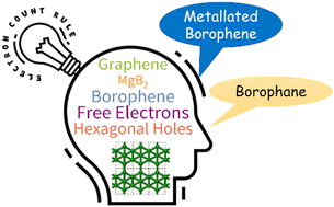 Graphical abstract: An electron counting formula to explain and to predict hydrogenated and metallated borophenes