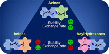 Graphical abstract: Dynamic covalent chemistry with azines
