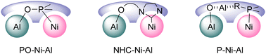 Graphical abstract: Ligand-ligated Ni–Al bimetallic catalysis for C–H and C–C bond activation