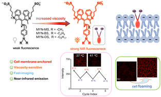 Graphical abstract: New cell-membrane-anchored near-infrared fluorescent probes for viscosity monitoring
