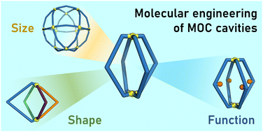 Graphical abstract: Molecular engineering of confined space in metal–organic cages