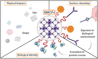 Graphical abstract: Nanosized metal–organic frameworks as unique platforms for bioapplications