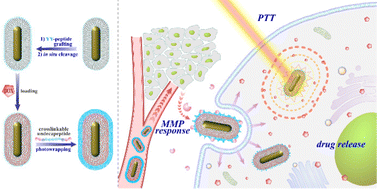 Graphical abstract: Peptide photowrapping of gold-silica nanocomposites for constructing MMP-responsive drug capsules for chemo-photothermal therapy