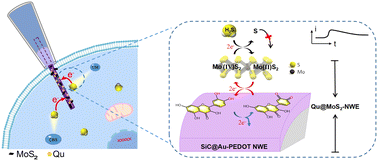Graphical abstract: An anti-poisoning nanosensor for in situ monitoring of intracellular endogenous hydrogen sulfide