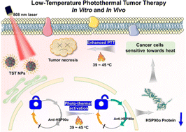 Graphical abstract: NIR luminogen for low-temperature photothermal therapy by triggering HSP90α down-regulation