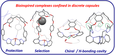Graphical abstract: Bioinspired complexes confined in well-defined capsules: getting closer to metalloenzyme functionalities