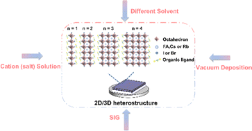 Graphical abstract: Precise modulation strategies of 2D/3D perovskite heterojunctions in efficient and stable solar cells