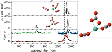 Graphical abstract: An infrared study of CO2 activation by holmium ions, Ho+ and HoO+