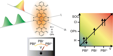 Graphical abstract: Intersystem crossing of perylene bisimide neutral, radical anion, and dianion derivatives compared via ultrafast spectroelectrochemistry