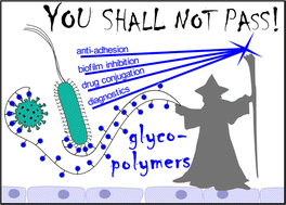 Graphical abstract: Glycopolymers against pathogen infection