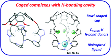 Graphical abstract: A caged tris(2-pyridylmethyl)amine ligand equipped with a Ctriazole–H hydrogen bonding cavity
