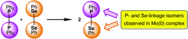 Graphical abstract: Heterometathesis of diphosphanes (R2P–PR2) with dichalcogenides (R′E–ER′, E = O, S, Se, Te)