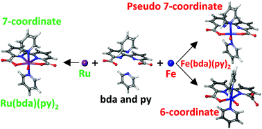 Graphical abstract: Computational comparison of Ru(bda)(py)2 and Fe(bda)(py)2 as water oxidation catalysts