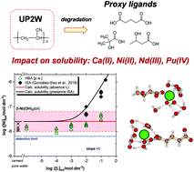 Graphical abstract: Solubility of Ca(ii), Ni(ii), Nd(iii) and Pu(iv) in the presence of proxy ligands for the degradation of polyacrylonitrile in cementitious systems