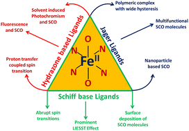 Graphical abstract: FeII spin crossover complexes containing N4O2 donor ligands