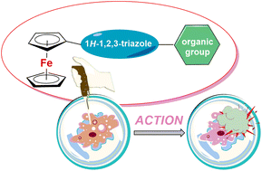 Graphical abstract: Ferrocene-triazole conjugates: do we know why they are biologically active?