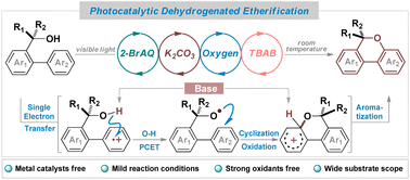 Graphical abstract: Photocatalytic dehydrogenated etherification of 2-aryl benzylic alcohols