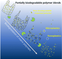 Graphical abstract: Risk for the release of an enormous amount of nanoplastics and microplastics from partially biodegradable polymer blends